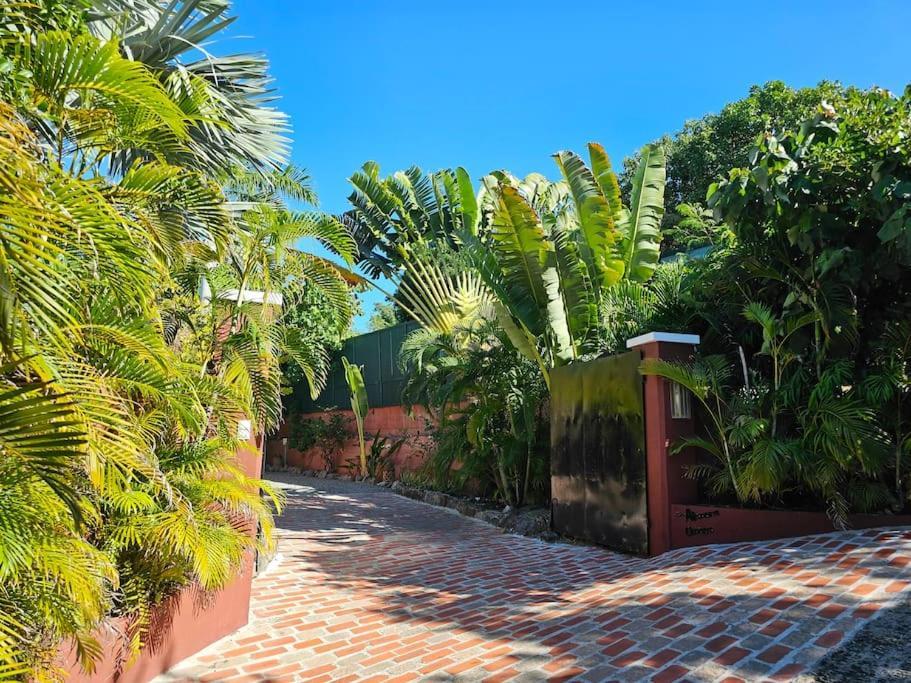 Villa African Queen - St Barth Gustavia Exterior photo