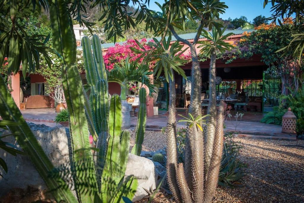 Villa African Queen - St Barth Gustavia Exterior photo